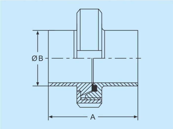 Zoll Schweissverschraubung 304 1"