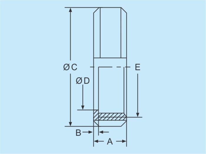 Nuts F DIN 11851 304 DN40