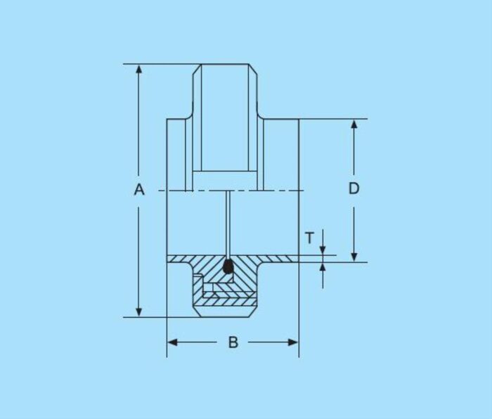 DN15 Aseptic-Union Nut DIN 11853-1 316L