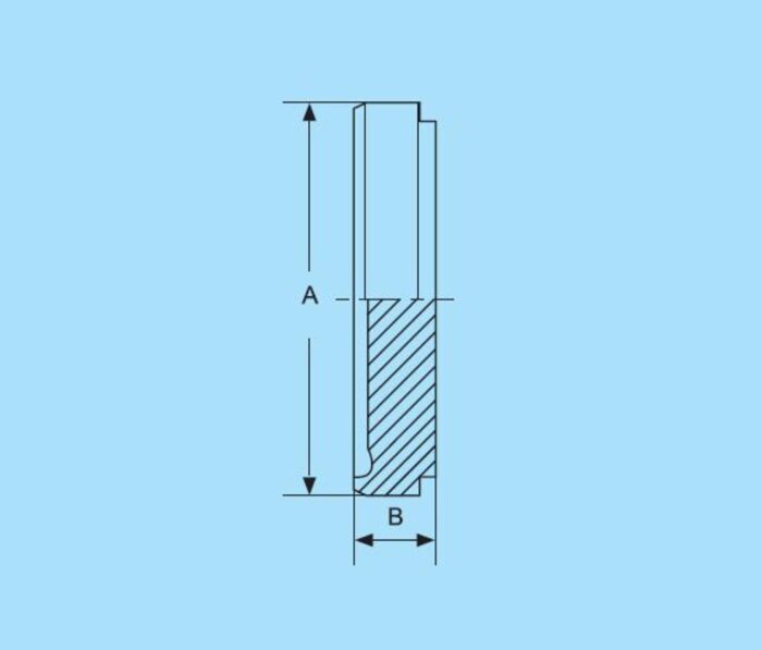 DN10 Aseptic-Blindliner DIN 11864/53-1 316L