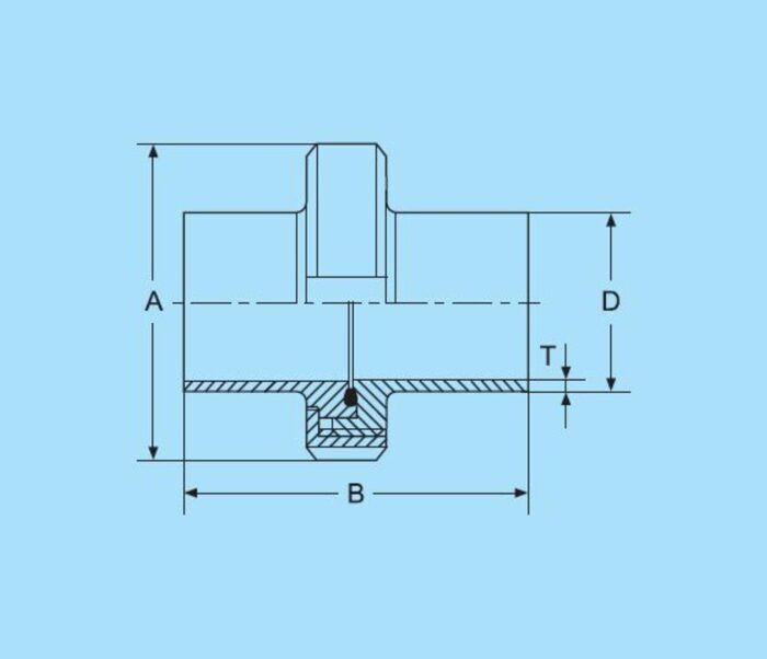 DN10 Aseptic-Union Nut DIN 11864-1 316L