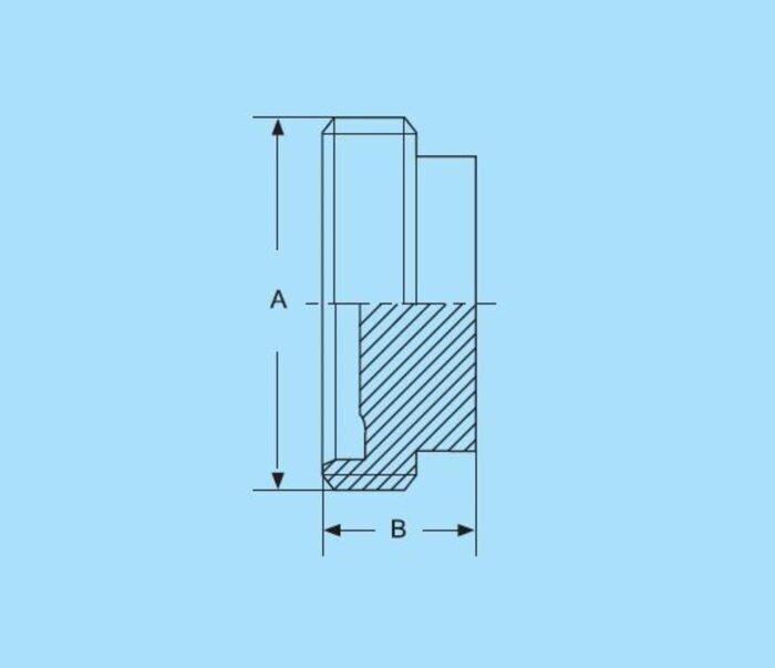 DN10 Aseptic-Blindmale DIN 11864/53-1 316L